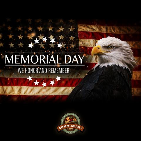 Memorial Day Eagle and Flag