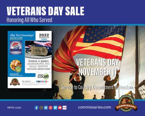 Nov 7-20 sales flyer graphic
