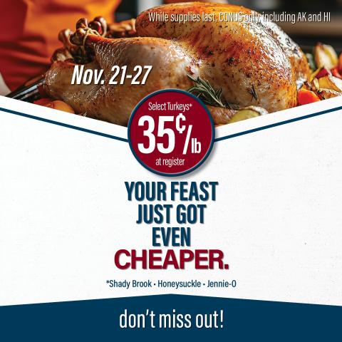 Turkey sales graphic