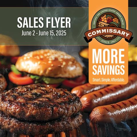 DP12 sales flyer graphic