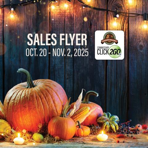 DP22 Sales Flyer Graphic